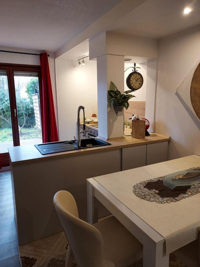 Residence Du Vieux Chateau Jardin & Parking Gratuit Mulhouse Luaran gambar