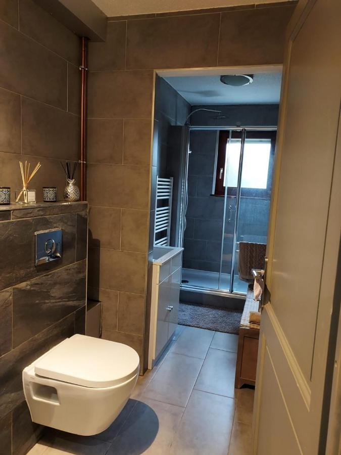 Residence Du Vieux Chateau Jardin & Parking Gratuit Mulhouse Luaran gambar