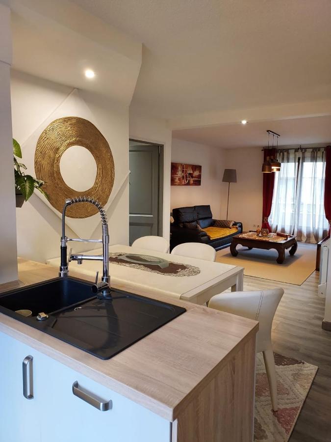 Residence Du Vieux Chateau Jardin & Parking Gratuit Mulhouse Luaran gambar
