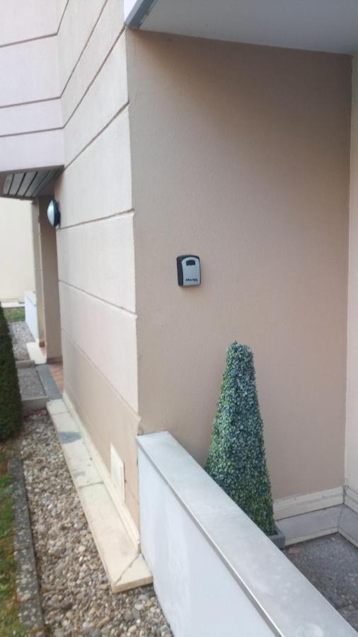 Residence Du Vieux Chateau Jardin & Parking Gratuit Mulhouse Luaran gambar